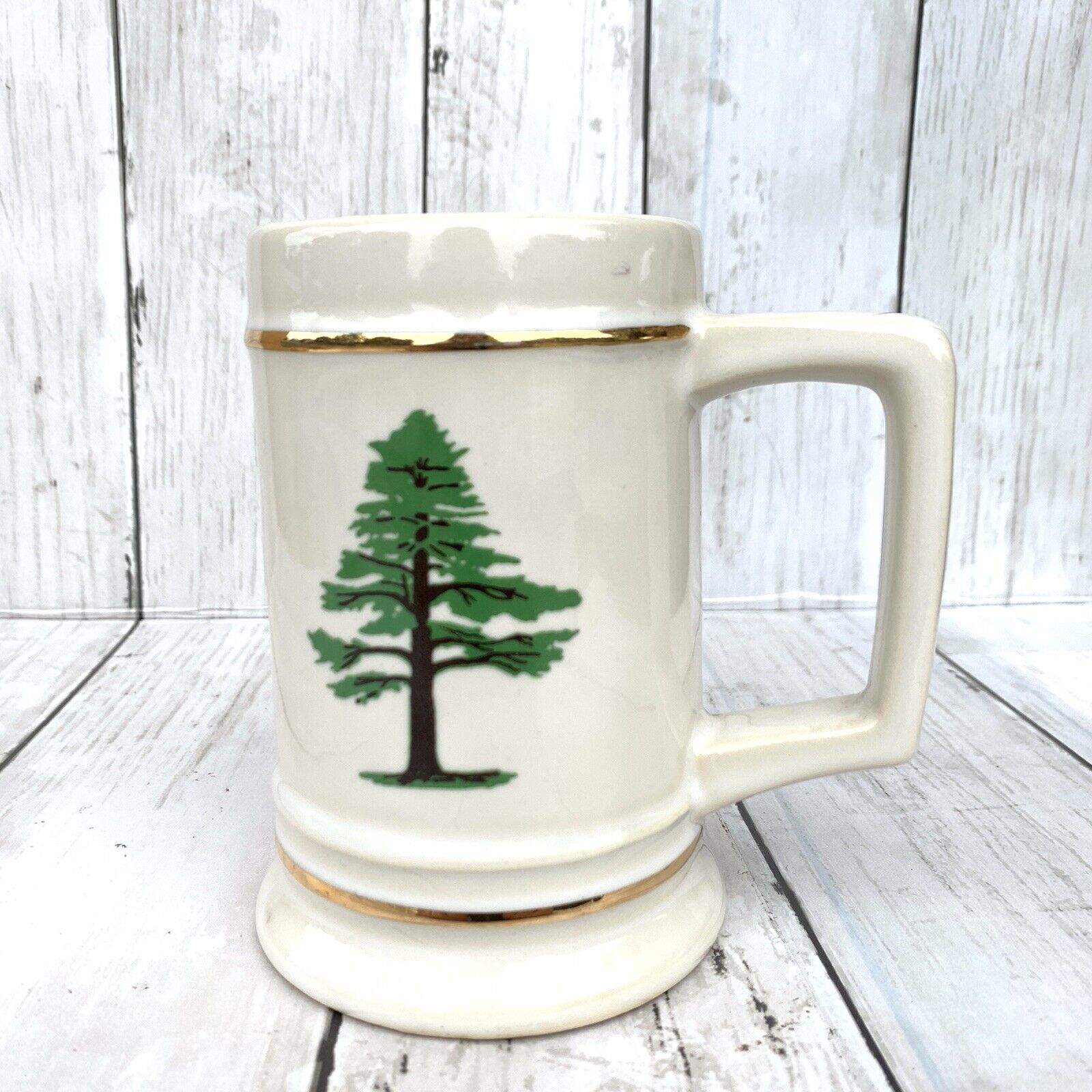 Supreme Forest 59th  Annual Session Tall Cedars Of Lebanon Mug Stein May 1961